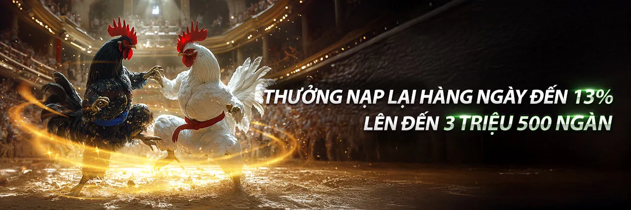 Sân đấu đá gà Thomo sôi động